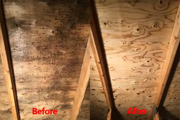 water damage restoration service Santa Ana Pueblo